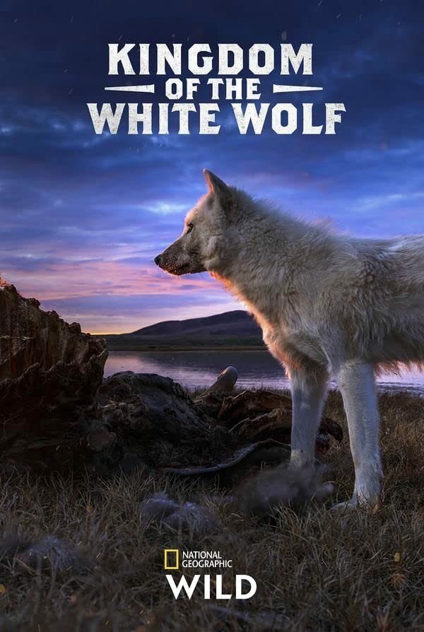 Королевство белого волка (2019)