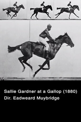 Салли Гарднер в галопе (1878)